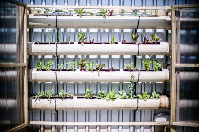 green design, eco design, sustainable design, Touching Earth Lightly, Gege Creche, City of Capetown Environmental Resource Management Department, Andrew Lord, Stephen Lamb, Vertical garden, Handspring Theater Puppet Company, Ackerman Pick and Pay foundation