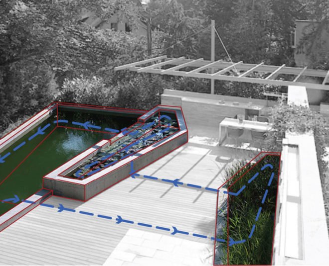 Fletcher Studio, biopool, Zurich, Switzerland, green design, sustainable design, green pool, garden, botanical, green building, sustainable architecture, eco pool
