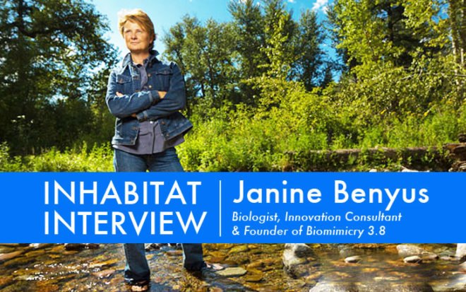 Janine Benyus, The Biomimicry Institute, biomimicry, biomimicry institute, biomimicry 3.8, biomimicry expert, biomimetic inspiration, biomimicry design, green design, design inspired by nature, design that mimics nature, biomimicry and sustainable design, sustainable design, wind power, Jill Fehrenbacher, inhabitat interview