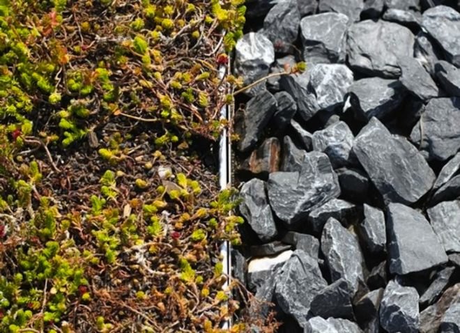 nyc department of environmental protection, nycdep, osborne association, blue and green roof, green roof, blue roof, south bronx, hazen and sawyer, stormwater, stormwater management, beekeeping