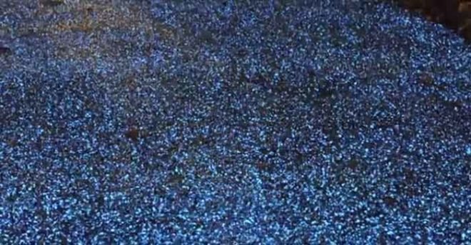 starpath, pro-teq, uk, cambridge, christ's pieces, ambient lighting, pavement, asphalt, glow-in-the-dark, hamish scott, cost-effective, carbon credits, cambridge city council, elastomeric polyeurethane