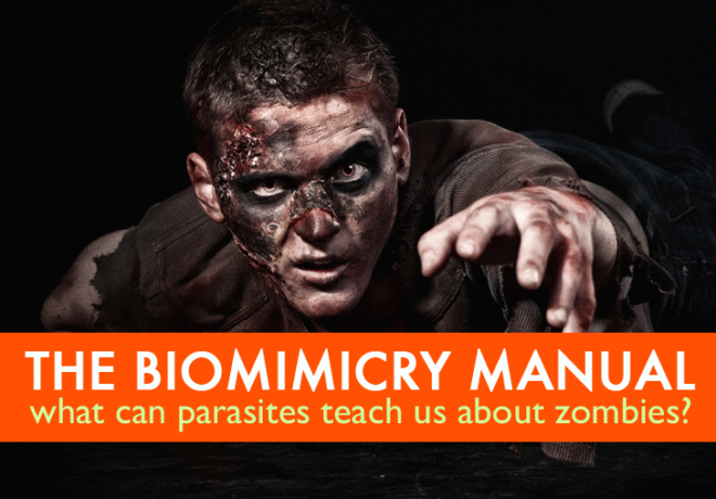 biomimicry, halloween, zombies, zombie apocalypse, parasites, host-parasite manipulation, crazy cat lady, schizophrenia, Toxoplasmodia gondii, dopamine