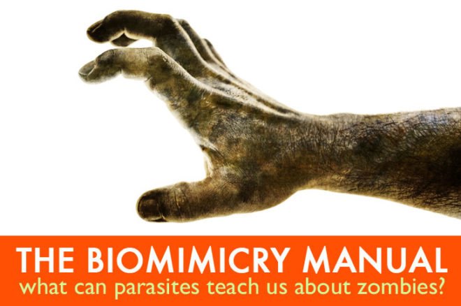 biomimicry, halloween, zombies, zombie apocalypse, parasites, host-parasite manipulation, crazy cat lady, schizophrenia, Toxoplasmodia gondii, dopamine