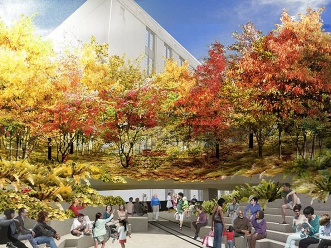 high line, high line spur, Friends of the High Line, James Corner Field Operations, Diller Scofidio + Renfro, hudson rail yard, elevated park, hudson river, native vegetation