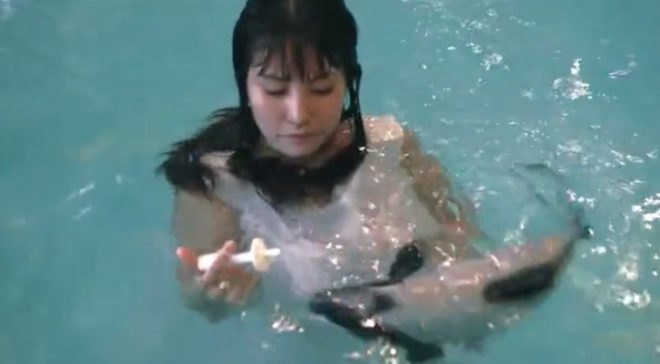 , Igreen design, eco design, sustainable design wanna Deliver a Dolphin, Ai Hasegawa, eating dolphin, giving birth to dolphins, world food supply