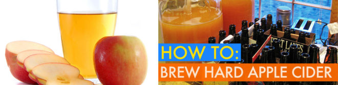 diy apple cider, diy hard cider, how to make apple cider, hard apple cider, apple wine, apfelwein, fall, autumn, cocktails, alcohol, fermenting, sustainable food, bottling, diy alcohol, spiced cider, diy spiced cider, brewing, homebrewing