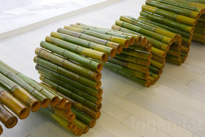 Botanical, Green renovation, recycled furniture, Buenos Aires, Ana Lisa Alperovich, Decorative Objects, Green Lighting, green Interiors, green furniture, Green Design Events,