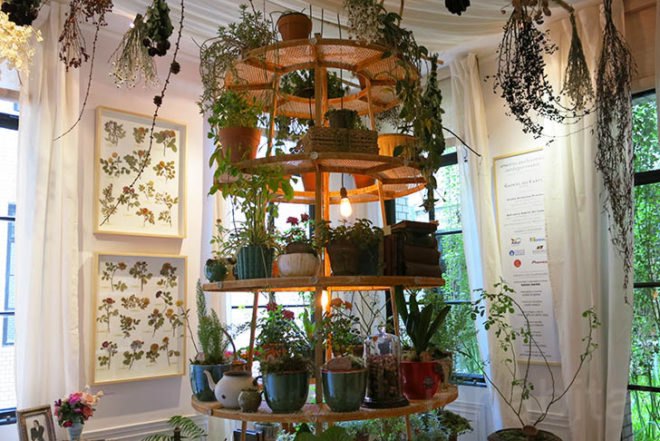 Botanical, Green renovation, recycled furniture, Buenos Aires, Ana Lisa Alperovich, Decorative Objects, Green Lighting, green Interiors, green furniture, Green Design Events,