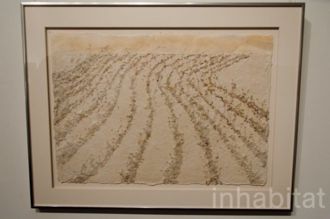 Harlem Roots, Casa Frela, Michelle Brody, Art, Sustainable Art, Recycled Paper, Plants, Wheat Grass, Bean Sprouts, Creating art with plants, Harlem, Harlem Brownstones, Union Square Grassman, Nutrition, Learning about healthy living, plant art