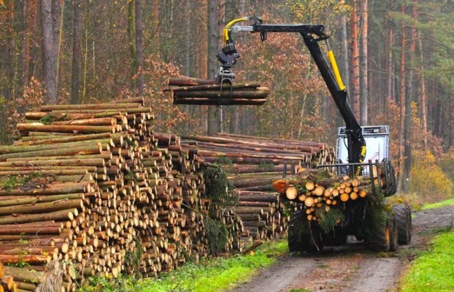 deforestation, sustainable agriculture, Warsaw climate conference, UN climate talks, global warming, sustainable farming, protecting rainforests, logging operations