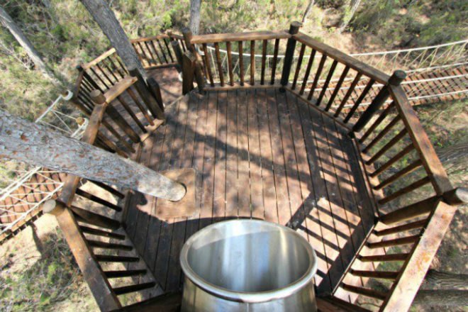 Fibonacci Tree House, Blue Forest, tree house, fibonacci spiral, fibonacci sequence, nature-inspired design,