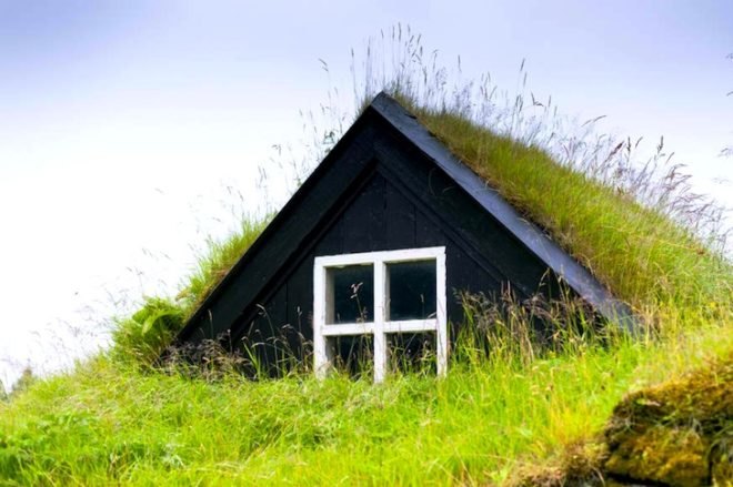 Amsterdam, Peecycling, Green Roofs, human urine, uses for human urine, recycling urine, pee power, phosphorus, peak phosphorus, fertilizer, peak fertilizer, natural fertilizers, urinals, public urinals in Amsterdam, green roofs in Amsterdam, peecycling in Amsterdam