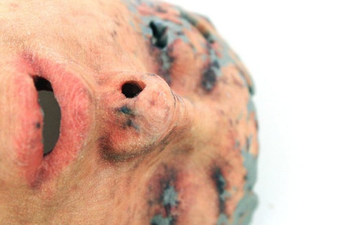 green design, eco design, sustainable design, Lorna Barnshaw, 3d printed face, 3d scanned face, 3d printed art, 123d Catch, Cubify