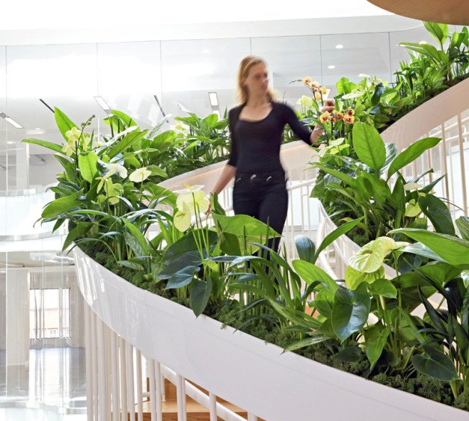 green design, eco design, sustainable design, Paul Cocksedge, Living Staircase, vertical garden, Ampersand London, living garden