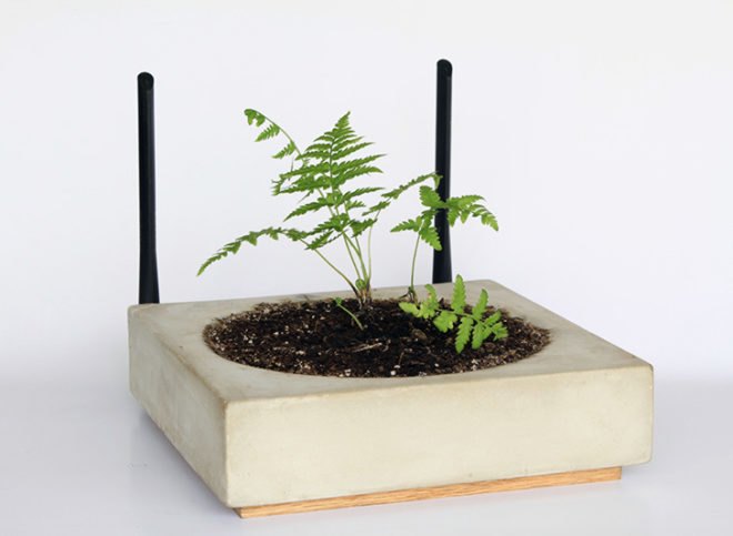 Cybernetic Meadow, green gadgets, green technology, gardening, botanical, sustainable design, green design, green products, green interiors, eco design
