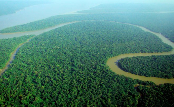 Fisher & Paykel, Cuipo, Saving the Rainforest, save the rainforest, rainforest conservation, protect the rainforest