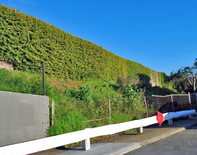 1 Burrows Pocket Park, Lincoln Reimagine Project, San Francisco, urban design, green design, sustainable design, pocket park, park, rebar, architectural digest, architecture for humanity, jason jagel, portola, burrows street, green building, sustainable building, public space