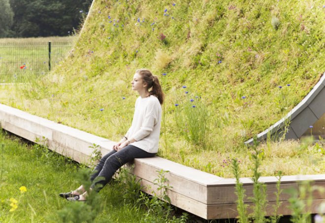 Patrick Nadeau, Wave House France, La Maison Vague France, green-roofed buildings, wave houses, shell-like architecture, Ecovégéta, Reims experimental housing, timber houses, small houses France