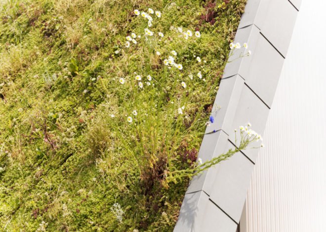 Patrick Nadeau, Wave House France, La Maison Vague France, green-roofed buildings, wave houses, shell-like architecture, Ecovégéta, Reims experimental housing, timber houses, small houses France