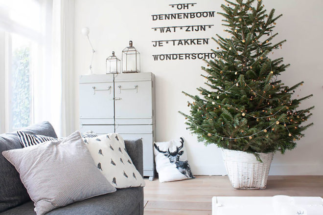 Green Holidays, living christmas tree, potted christmas tree, living christmas tree rental, trees, carbon sequestration, friends of the urban forest, San Francisco, Los Angeles, San Diego, Christmas decorations, green christmas