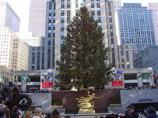Rockefeller Center, 45 Rockefeller Plaza, Christmas Tree, NYC Christmas Tree, Rockefeller Christmas Tree, Rockefeller Christmas Tree 2013, Rockefeller Christmas Tree lighting, Rockefeller Christmas lighting, Rockefeller Christmas Tree has 45000 led lights, Swarovski crystal tree star, mayor Bloomberg, habitat for humanity, Norway Spruce, NYC Christmas tree from Connecticut, NYC Christmas tree from Shelton