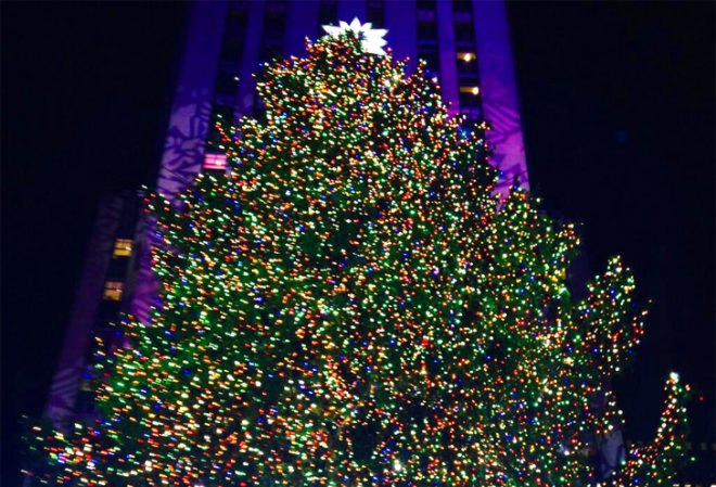 Rockefeller Center, 45 Rockefeller Plaza, Christmas Tree, NYC Christmas Tree, Rockefeller Christmas Tree, Rockefeller Christmas Tree 2013, Rockefeller Christmas Tree lighting, Rockefeller Christmas lighting, Rockefeller Christmas Tree has 45000 led lights, Swarovski crystal tree star, mayor Bloomberg, habitat for humanity, Norway Spruce, NYC Christmas tree from Connecticut, NYC Christmas tree from Shelton