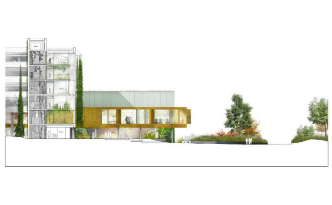 Skanderborg, Sports and Administration Centre, Schmidt Hammer Lassen, living walls, green walls, vertical garden