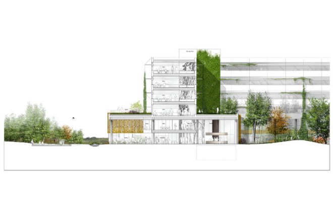 Skanderborg, Sports and Administration Centre, Schmidt Hammer Lassen, living walls, green walls, vertical garden