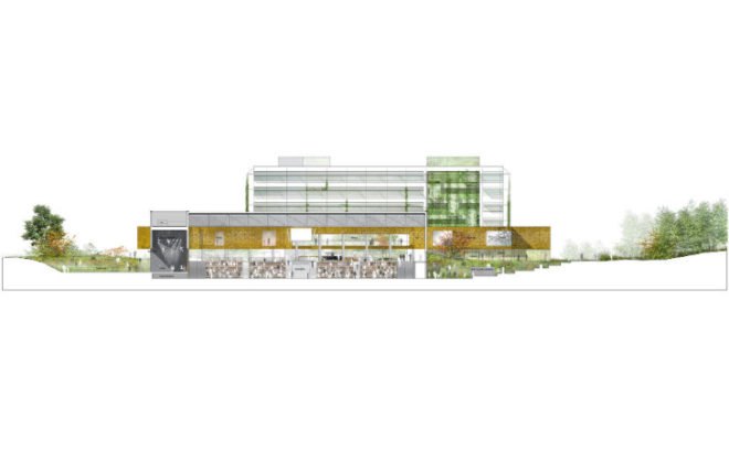 Skanderborg, Sports and Administration Centre, Schmidt Hammer Lassen, living walls, green walls, vertical garden