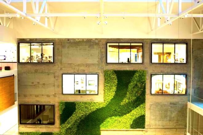 AirBnB San Francisco Headquarters, Carlos Chavarria, Leslie Williamson, open plan office space, Timothy Goodman, GSky Green Wall, Gensler, residential design theme, green wall at AirBnB headquarters, AirBnB offices look like actual apartments,