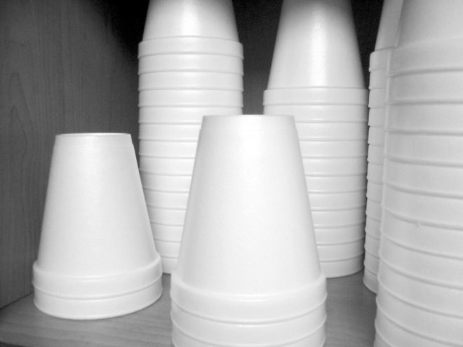 styrofoam, ban, biodegrade, recyclable, landfill