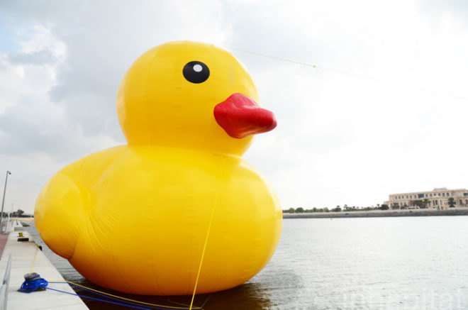 fake rubber duck, giant rubber duck, pirated rubber duck, cheap duck from China, stolen art, Abu Dhabi Sustainability Week, ADNEC, Abu Dhabi, oversized art projects, Florentijn Hofman, Reed Exhibitions, GeoWash fake duck in Dubai, copyright infringement, stolen art