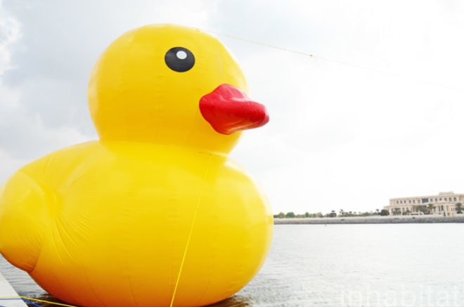 fake rubber duck, giant rubber duck, pirated rubber duck, cheap duck from China, stolen art, Abu Dhabi Sustainability Week, ADNEC, Abu Dhabi, oversized art projects, Florentijn Hofman, Reed Exhibitions, GeoWash fake duck in Dubai, copyright infringement, stolen art