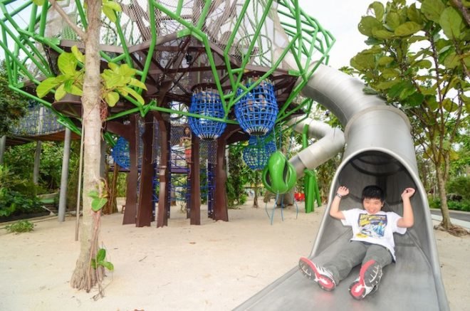 Gardens by the Bay, Far East Organization Children's Garden, Grant Associates, landscape architecture, singapore, treehouses, wetland, horticulture, tropical landscape, play space, children's garden