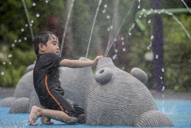 Gardens by the Bay, Far East Organization Children's Garden, Grant Associates, landscape architecture, singapore, treehouses, wetland, horticulture, tropical landscape, play space, children's garden