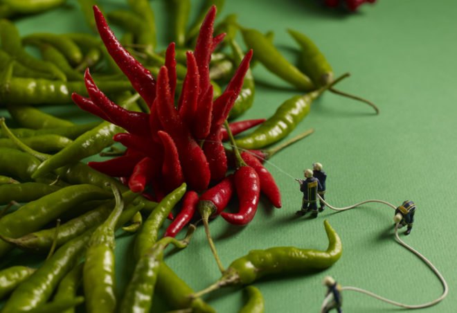 green design, eco design, sustainable design, Pierre Javelle, Akiko Ida, MINIMIAM, food photography, International Agriculture Show