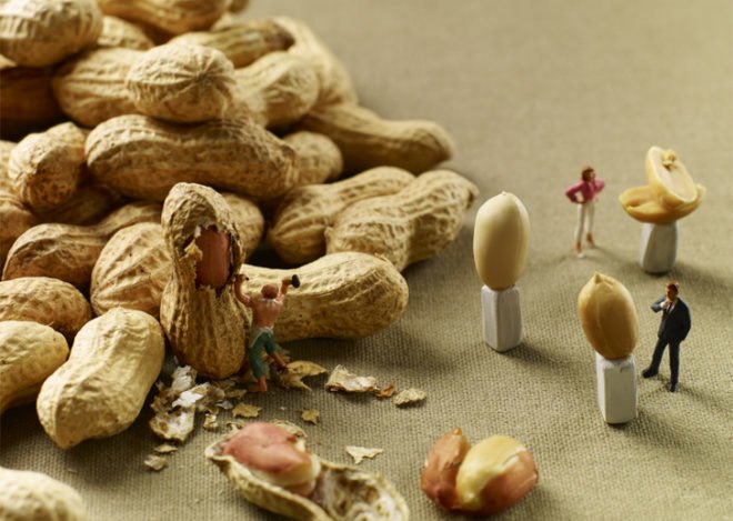 green design, eco design, sustainable design, Pierre Javelle, Akiko Ida, MINIMIAM, food photography, International Agriculture Show