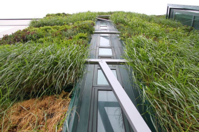 Palace of Congresses, Urbanarbolismo, unusualgreen, vertical garden, green facade, vitoria-gasteiz, living wall