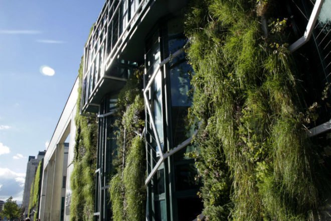Palace of Congresses, Urbanarbolismo, unusualgreen, vertical garden, green facade, vitoria-gasteiz, living wall