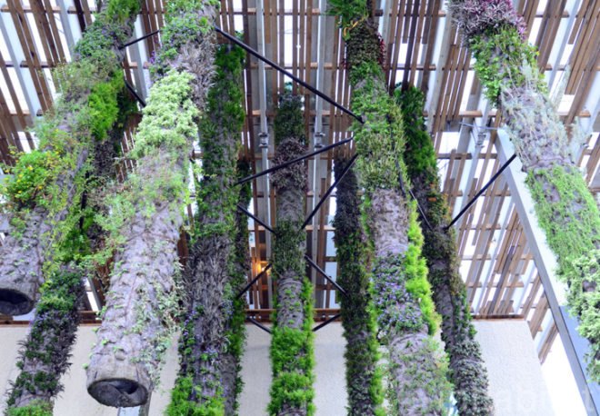 Pérez Art Museum Miami, Patric Blanc, hanging vertical gardens, living wall, green wall, Herzog & de Meuron, PAMM, Pérez Art Museum, Miami art museum, Patrick Blanc projects, hanging vertical gardens of Miami