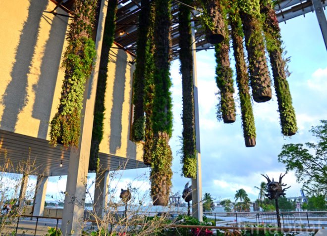 Pérez Art Museum Miami, Patric Blanc, hanging vertical gardens, living wall, green wall, Herzog & de Meuron, PAMM, Pérez Art Museum, Miami art museum, Patrick Blanc projects, hanging vertical gardens of Miami