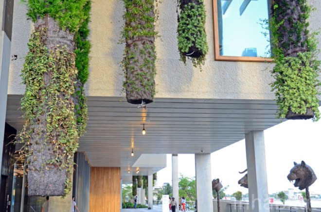 Pérez Art Museum Miami, Patric Blanc, hanging vertical gardens, living wall, green wall, Herzog & de Meuron, PAMM, Pérez Art Museum, Miami art museum, Patrick Blanc projects, hanging vertical gardens of Miami