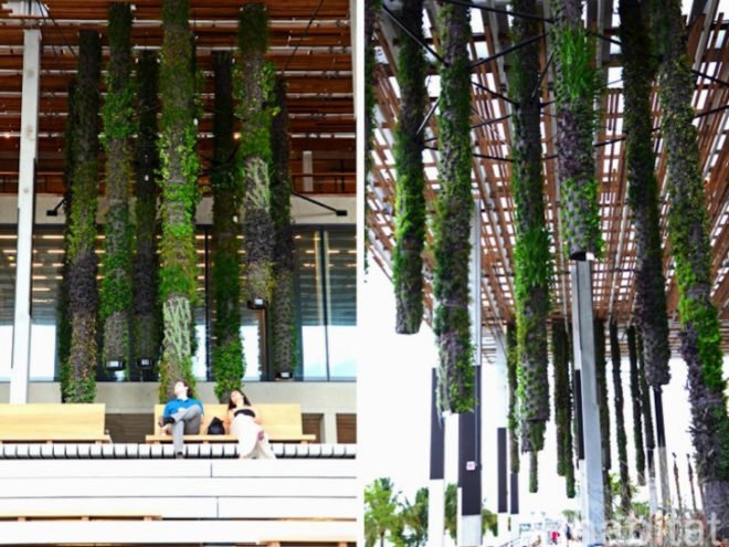 Pérez Art Museum Miami, Patric Blanc, hanging vertical gardens, living wall, green wall, Herzog & de Meuron, PAMM, Pérez Art Museum, Miami art museum, Patrick Blanc projects, hanging vertical gardens of Miami