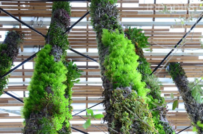 Pérez Art Museum Miami, Patric Blanc, hanging vertical gardens, living wall, green wall, Herzog & de Meuron, PAMM, Pérez Art Museum, Miami art museum, Patrick Blanc projects, hanging vertical gardens of Miami