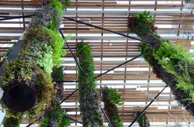 Pérez Art Museum Miami, Patric Blanc, hanging vertical gardens, living wall, green wall, Herzog & de Meuron, PAMM, Pérez Art Museum, Miami art museum, Patrick Blanc projects, hanging vertical gardens of Miami