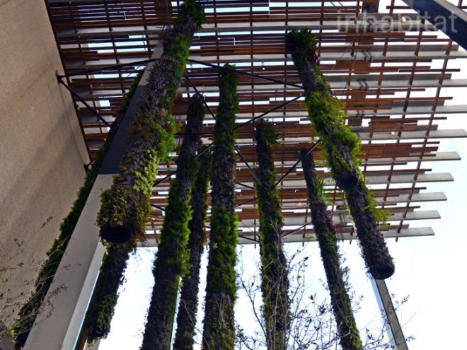 Pérez Art Museum Miami, Patric Blanc, hanging vertical gardens, living wall, green wall, Herzog & de Meuron, PAMM, Pérez Art Museum, Miami art museum, Patrick Blanc projects, hanging vertical gardens of Miami