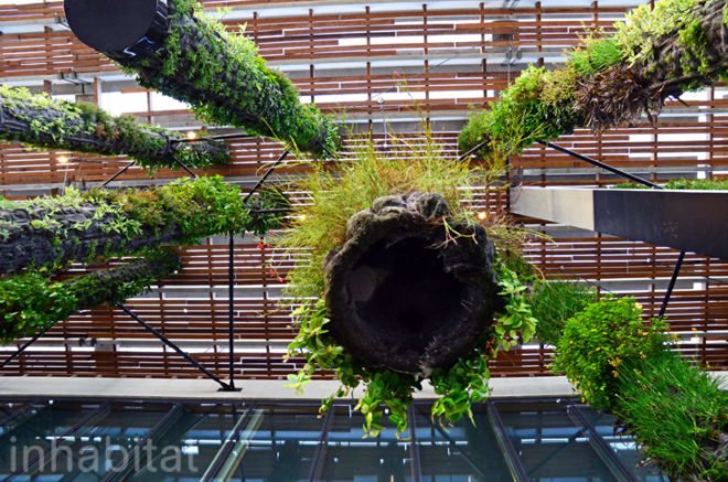 Pérez Art Museum Miami, Patric Blanc, hanging vertical gardens, living wall, green wall, Herzog & de Meuron, PAMM, Pérez Art Museum, Miami art museum, Patrick Blanc projects, hanging vertical gardens of Miami