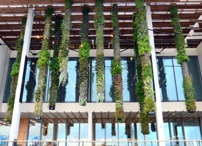 Pérez Art Museum Miami, Patric Blanc, hanging vertical gardens, living wall, green wall, Herzog & de Meuron, PAMM, Pérez Art Museum, Miami art museum, Patrick Blanc projects, hanging vertical gardens of Miami