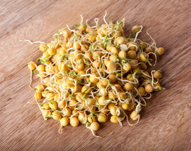 Bean sprouts, sprouting beans and seeds, seed sprouting, bean sprouting, sprouting in jars