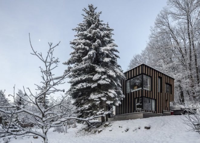 T2a Architects, photographer's house, architecture, Budapest architecture, Bence Turanyi, photographer Zsolt Batar, cabin built in two days, pilis forest, Budapest, Hungary, tiny homes, winter retreats, forest cabin, tiny cabins,